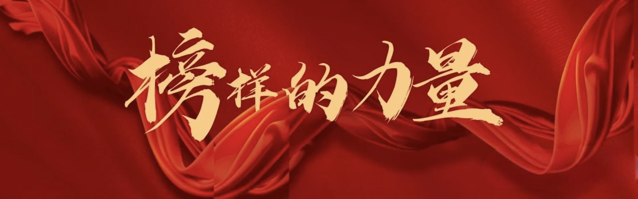 榜样的力量 | 两优一先风采录5